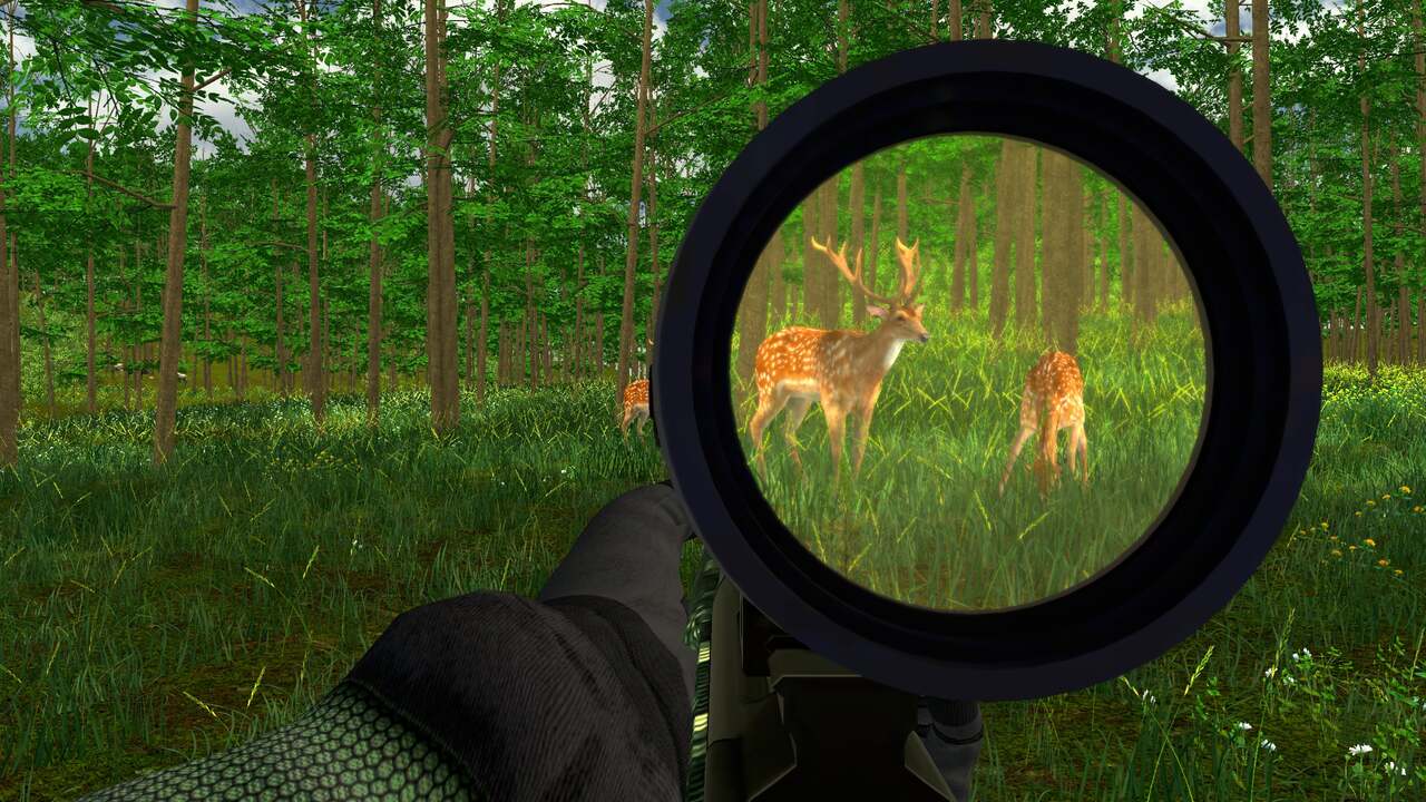 Hunter Simulator : Wild Hunting