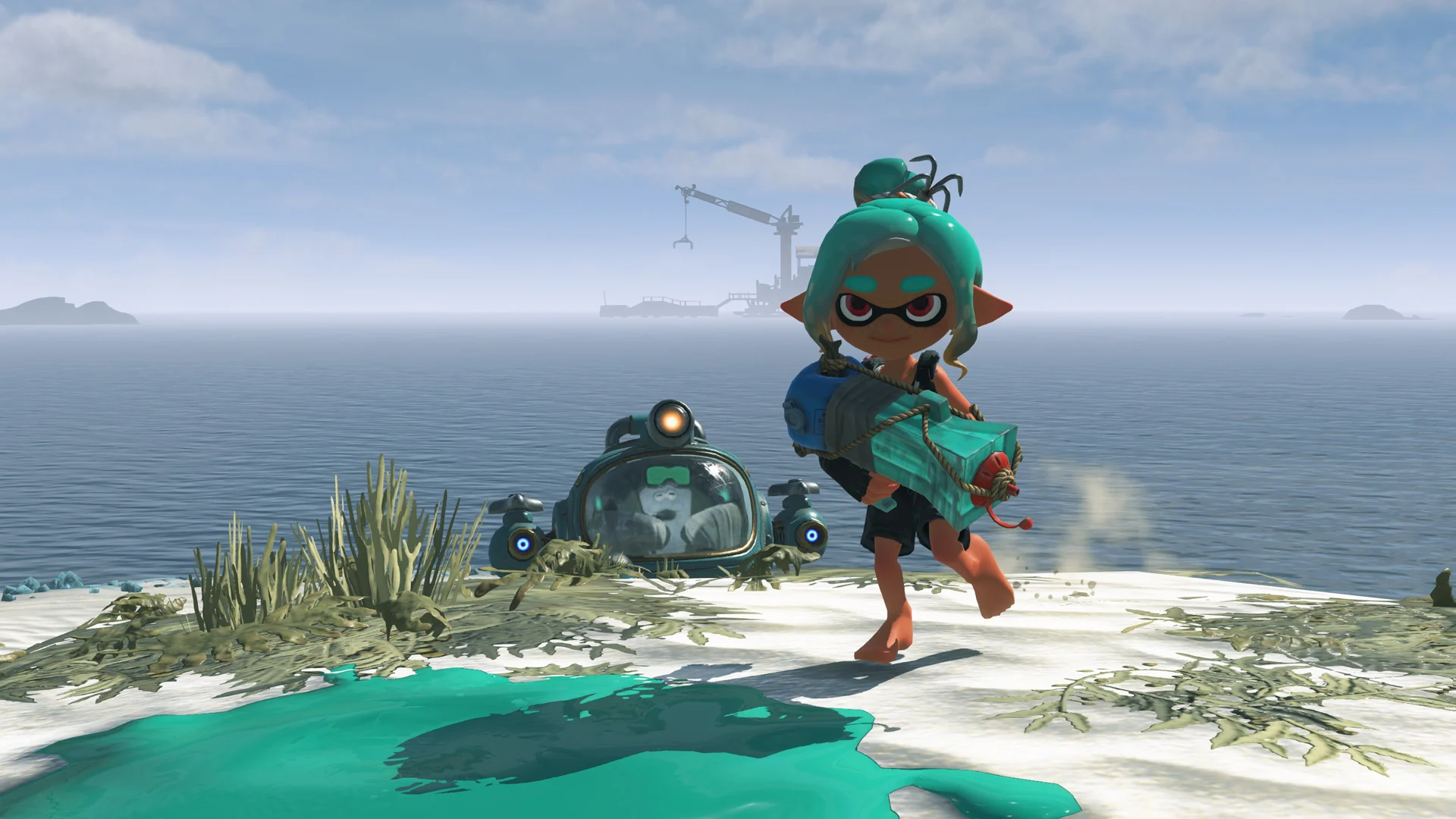 スプラトゥーン レイダース | Nintendo Store