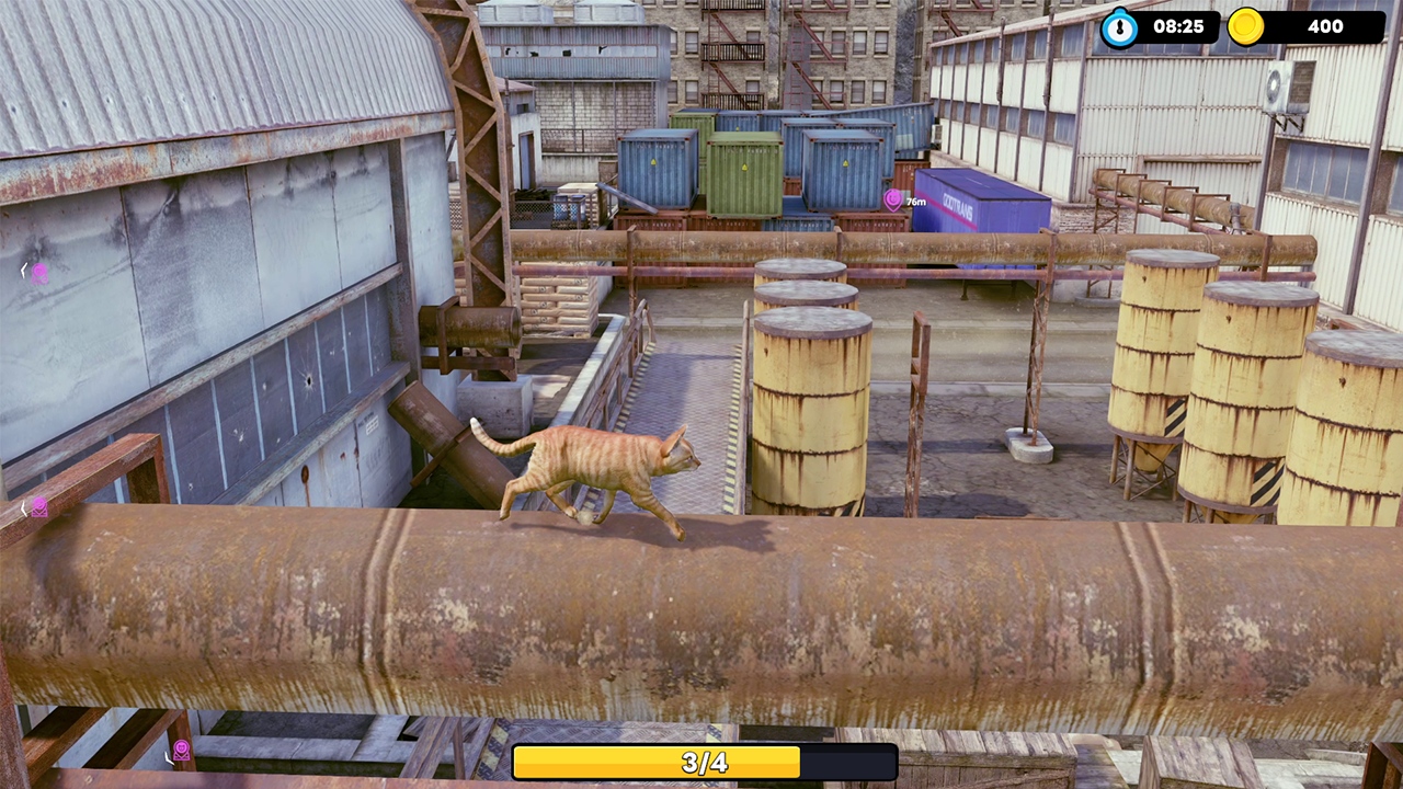 Little Strays "迷子の小さな子猫たち": Complete Edition