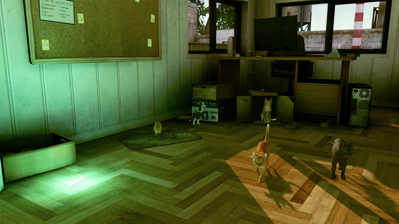 Little Strays "迷子の小さな子猫たち": Complete Edition