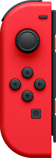 Nintendo Switch 2台目用セット My Nintendo Store マイニンテンドーストア